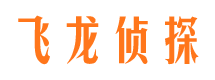 龙凤市婚姻调查